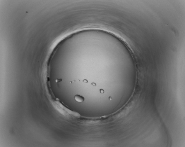 X0000114151519200910221535