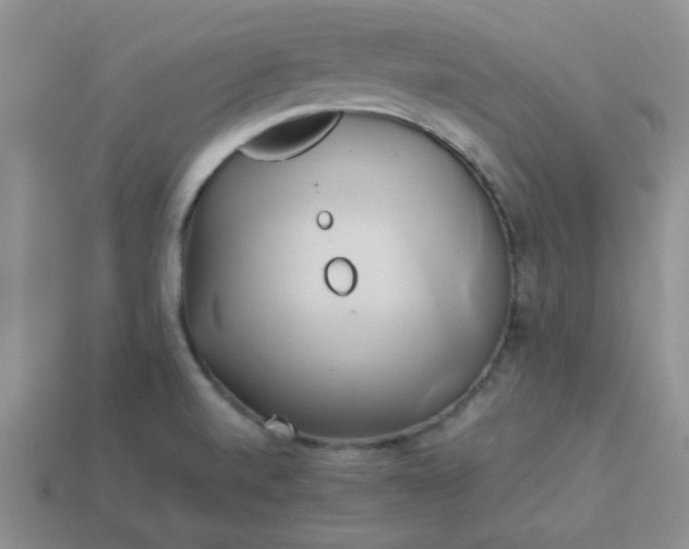 X0000114151520200910221535