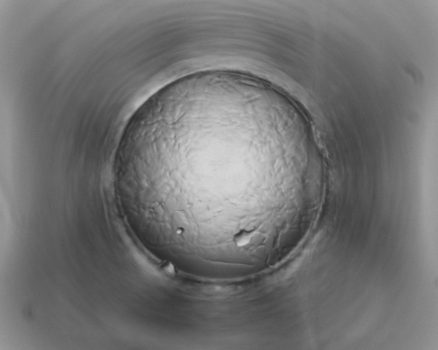 X0000114151521200910221535