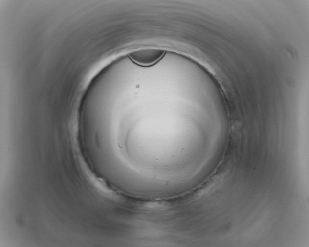 X0000114151523200910221535