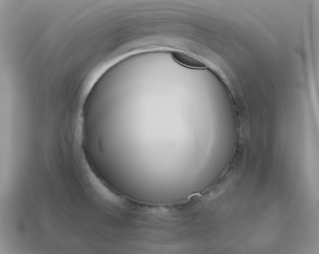 X0000114151524200910221535