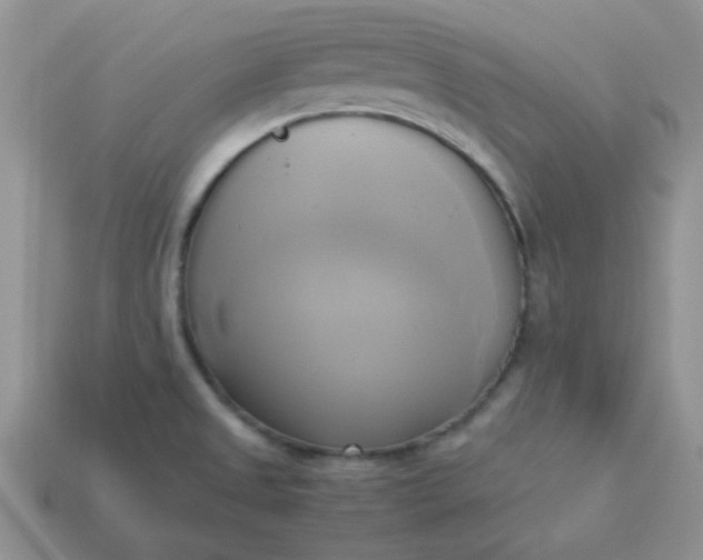 X0000114151525200910221535