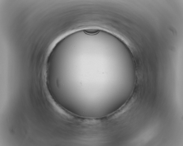 X0000114151526200910221535