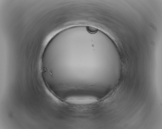 X0000114151527200910221535