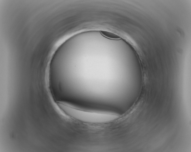 X0000114151528200910221535