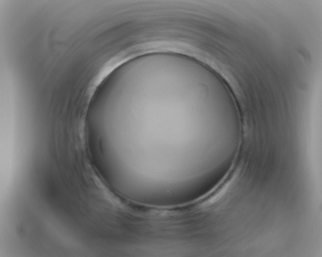 X0000114151529200910221535