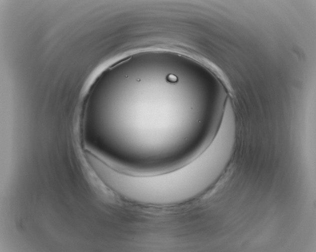 X0000114151530200910221536