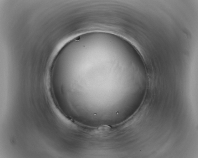 X0000114151531200910221536