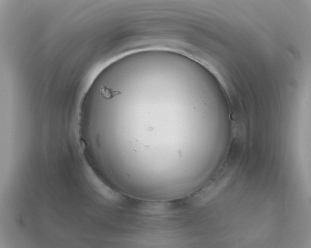 X0000114151532200910221536