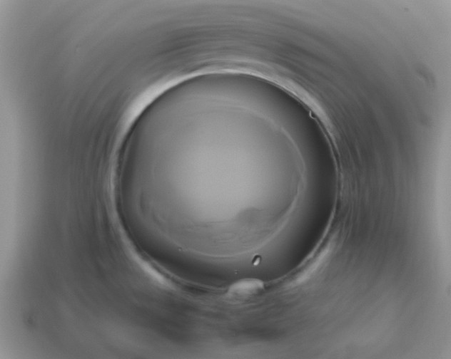 X0000114151533200910221536