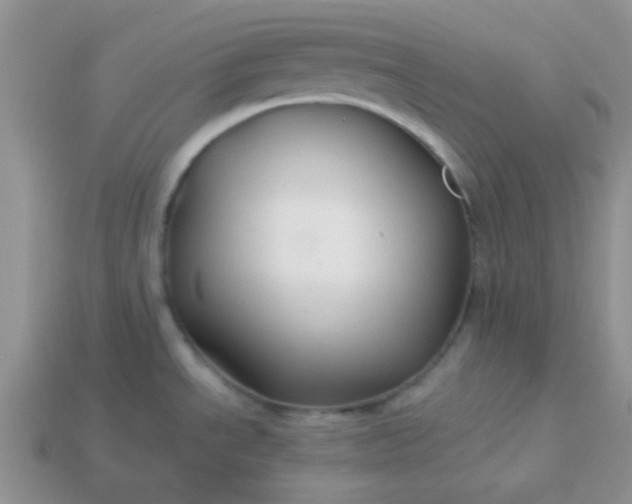 X0000114151534200910221536