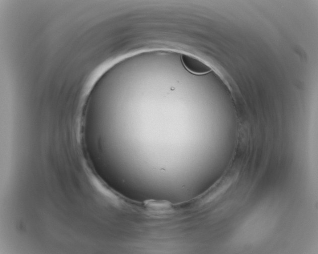 X0000114151535200910221536