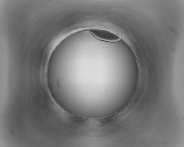 X0000114151536200910221536