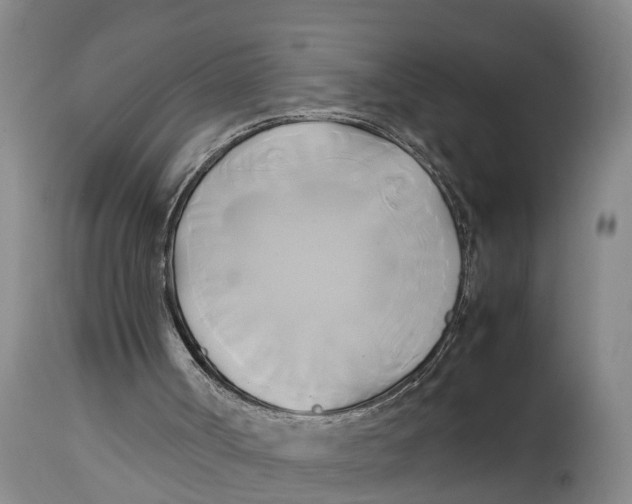 X0000114150002200911051452