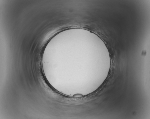 X0000114150005200911051452