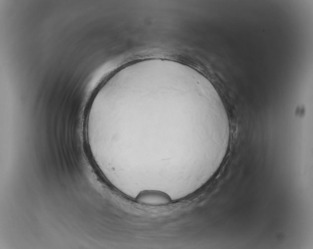 X0000114150006200911051452