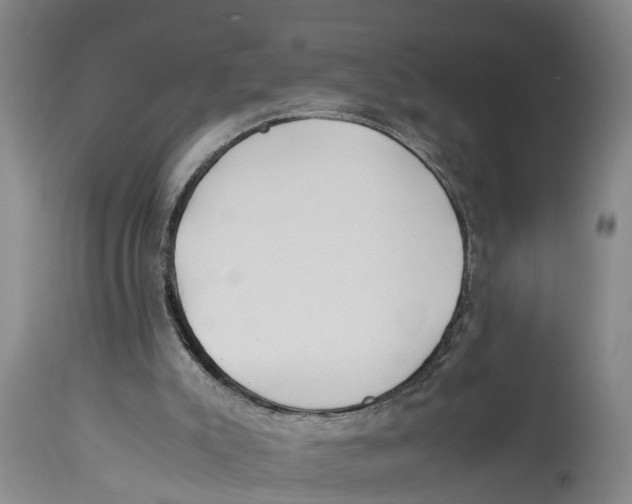 X0000114150007200911051452