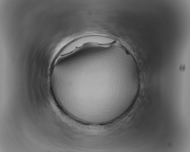 X0000114150008200911051452