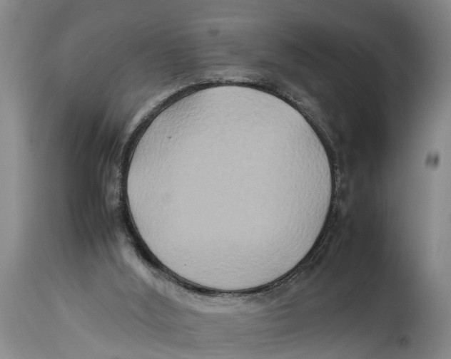 X0000114150012200911051452