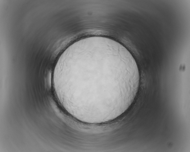 X0000114150014200911051452