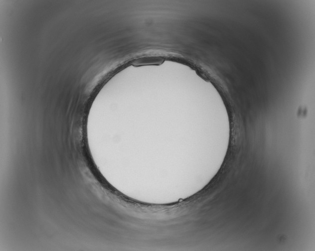 X0000114150015200911051452