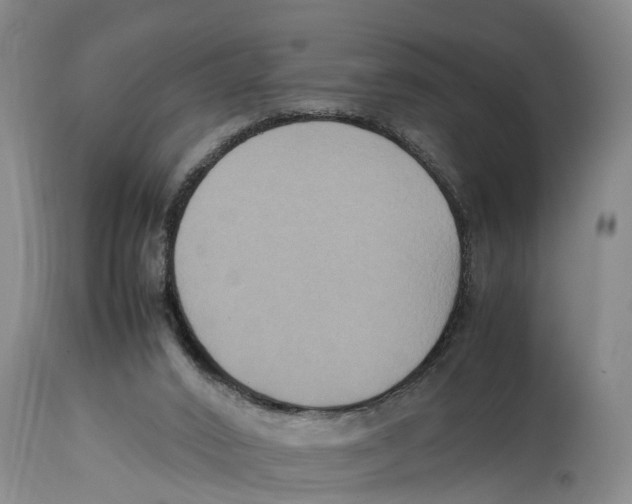 X0000114150016200911051452