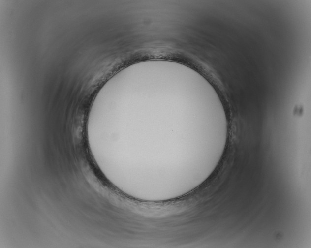 X0000114150018200911051452