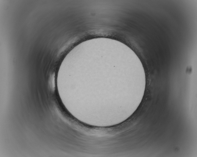 X0000114150020200911051452