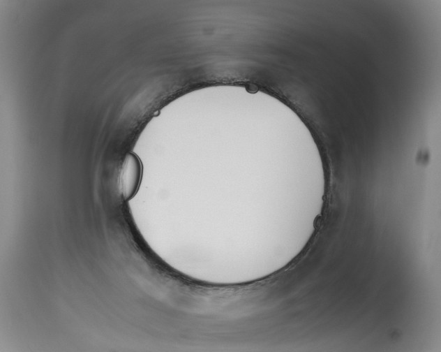 X0000114150021200911051452
