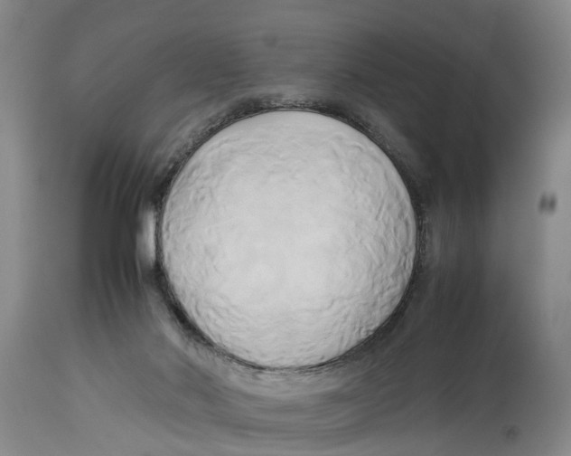 X0000114150022200911051452