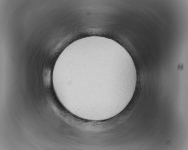 X0000114150024200911051452
