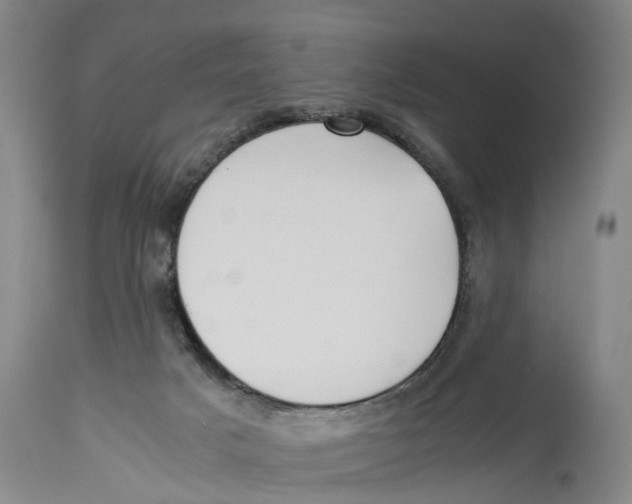 X0000114150025200911051452