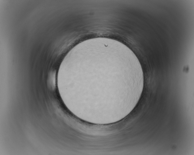 X0000114150028200911051452