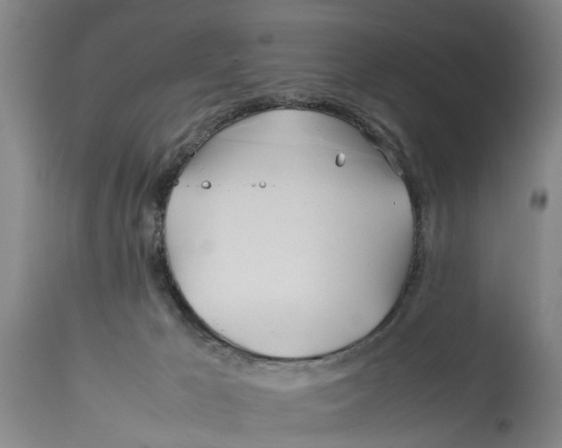 X0000114150029200911051452