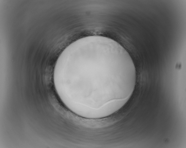 X0000114150030200911051452
