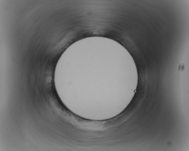 X0000114150032200911051452