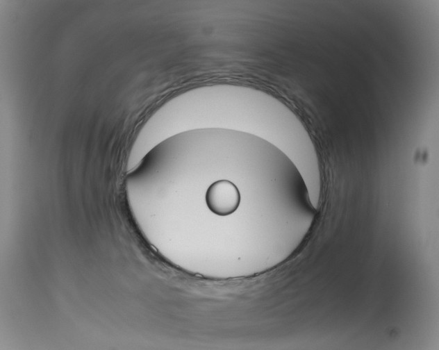 X0000114150033200911051452
