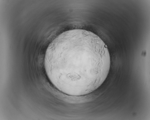 X0000114150034200911051452