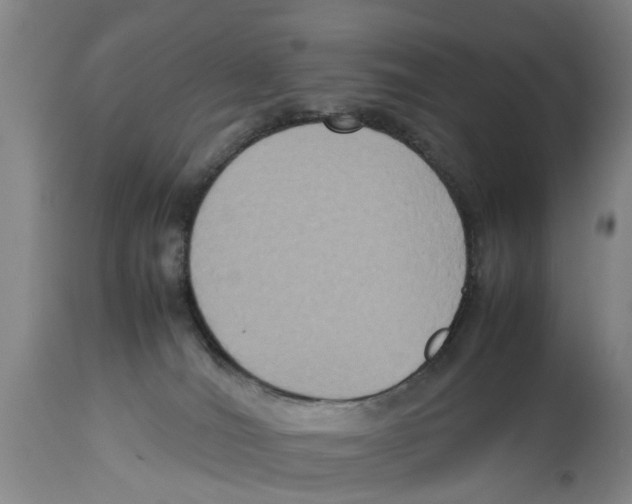 X0000114150036200911051452