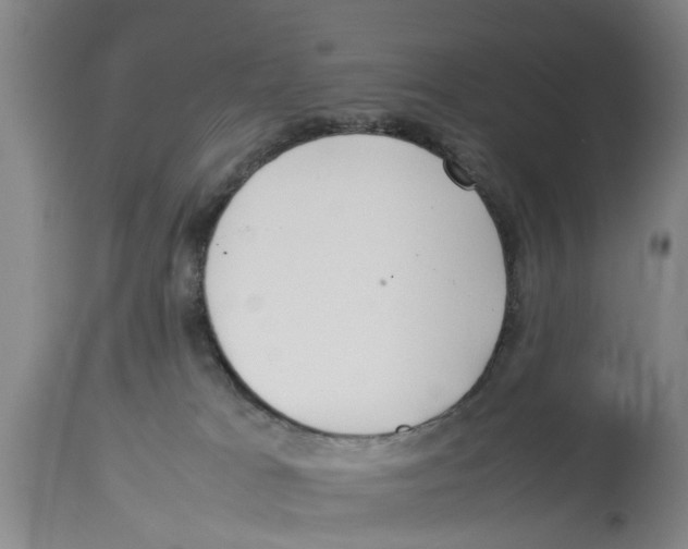 X0000114150037200911051452