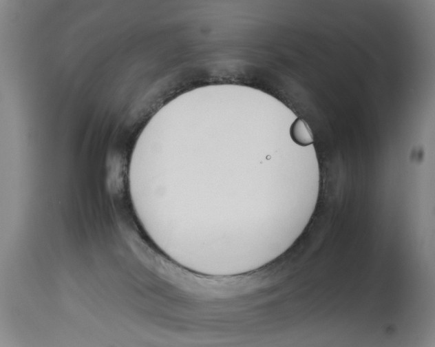 X0000114150038200911051452