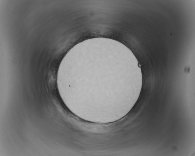 X0000114150040200911051452