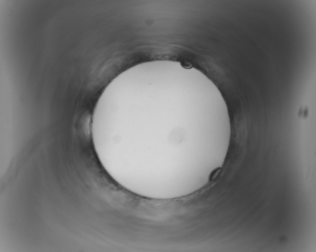 X0000114150041200911051452