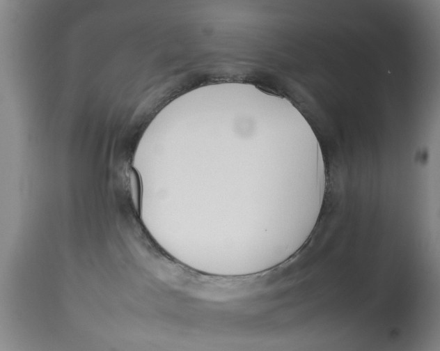 X0000114150045200911051452