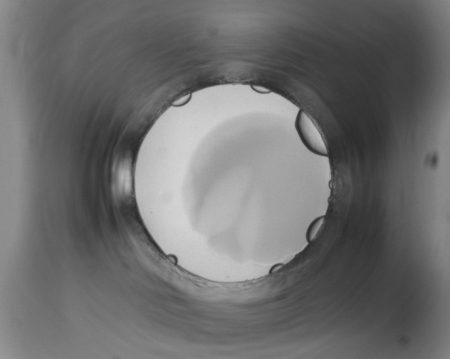 X0000114150046200911051452