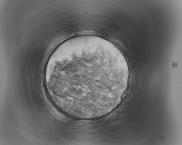 X0000114150049200911051451