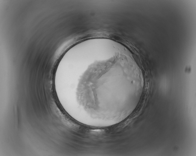 X0000114150053200911051451