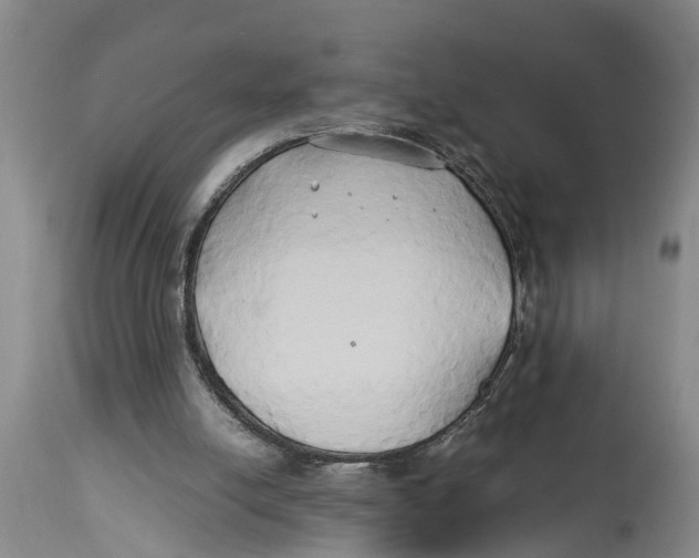X0000114150054200911051451