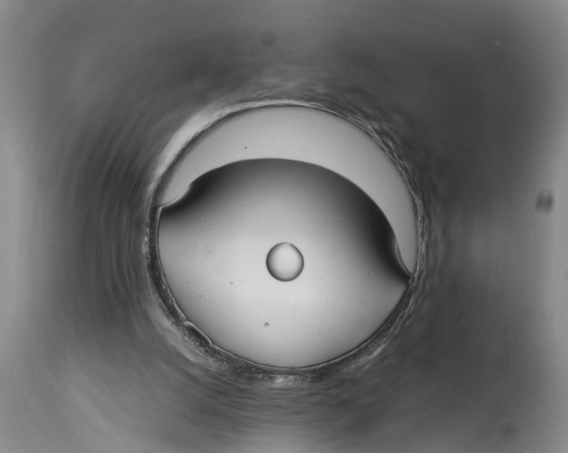 X0000114150056200911051451