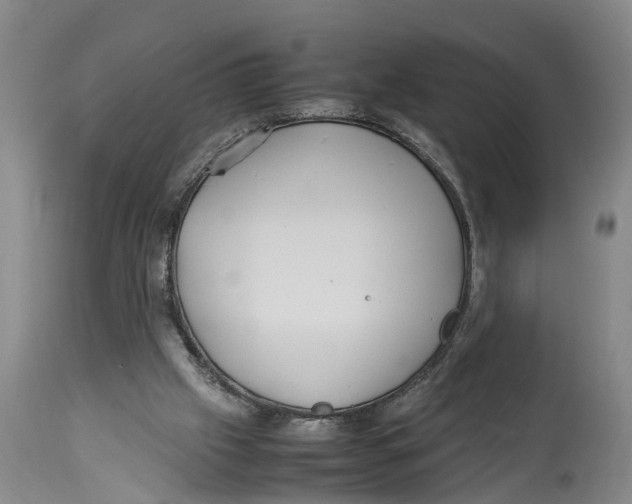 X0000114150057200911051451